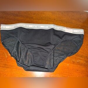 NWT Lane Bryant Cacique Hipster Panties 1 - 18/20 2 - 22/24